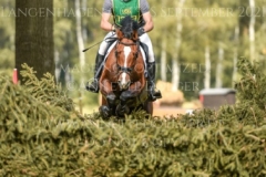 Caruso JH Nicolai ALDINGER