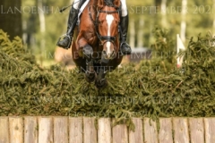 Caruso JH Nicolai ALDINGER