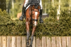 Caruso JH Nicolai ALDINGER