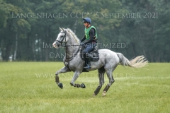 Loucius 2 Brandon SCHAEFER-GEHRAU