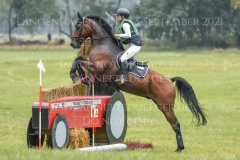 Connecticut Gloria SOHA