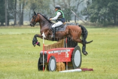 Connecticut Gloria SOHA