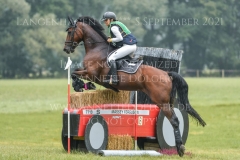 Connecticut Gloria SOHA