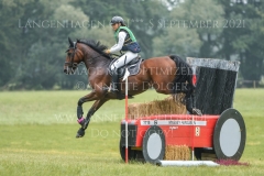 Connecticut Gloria SOHA