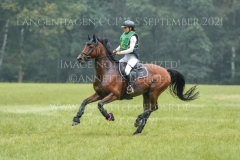 Connecticut Gloria SOHA