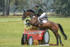 DAccord 70 Svenja Eckert