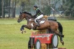 DAccord 70 Svenja Eckert