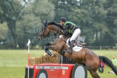 DAccord 70 Svenja Eckert