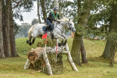 Callistro Sophia STEGMANN