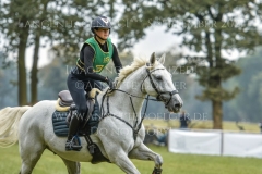 Callistro Sophia STEGMANN