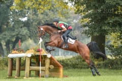 Chronicles van de Viking Z Raf Steegmans