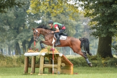 Chronicles van de Viking Z Raf Steegmans