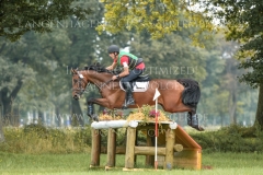 Chronicles van de Viking Z Raf Steegmans