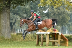 Chronicles van de Viking Z Raf Steegmans