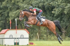 Chronicles van de Viking Z Raf Steegmans