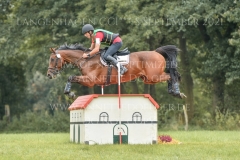 Chronicles van de Viking Z Raf Steegmans