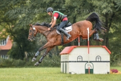 Chronicles van de Viking Z Raf Steegmans