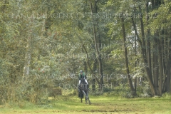 Naughty Girl 5 Anna SIEMER