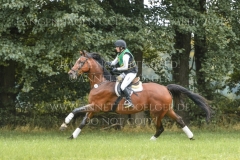 Schoensgreen Antares Anja SCHOENIGER