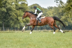 Schoensgreen Antares Anja SCHOENIGER