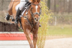 van Lou 2 Janne KLEINBUNTEMEYER