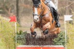 For Ever Pleasure N Pia SCHMUELLING