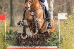 Heinsgardens Chillo Emilie Lindgren LAUMANN