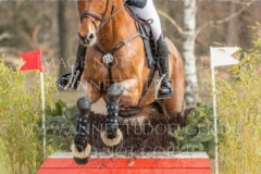 Heinsgardens Chillo Emilie Lindgren LAUMANN