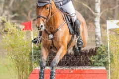 Heinsgardens Chillo Emilie Lindgren LAUMANN