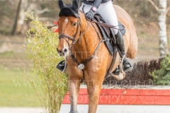 Heinsgardens Chillo Emilie Lindgren LAUMANN