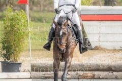 Chiquita Andreas DIBOWSKI