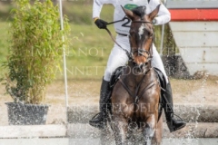 Chiquita Andreas DIBOWSKI