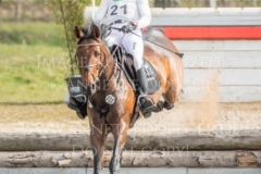 Equistros Siena Just Do It Ingrid KLIMKE