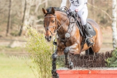 Equistros Siena Just Do It Ingrid KLIMKE