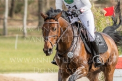 Equistros Siena Just Do It Ingrid KLIMKE