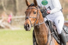 Equistros Siena Just Do It Ingrid KLIMKE