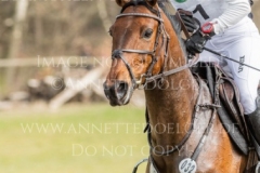 Equistros Siena Just Do It Ingrid KLIMKE