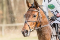 Equistros Siena Just Do It Ingrid KLIMKE