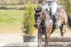 Eddie Weld Beeke JANKOWSKI