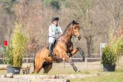 Travenort's Lucio Nele SPIERING