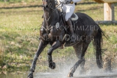 Butt's Azahar Marie FUENTMANN