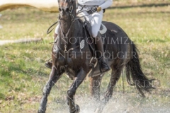 Butt's Azahar Marie FUENTMANN