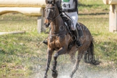 FRH Butt's Avondale Anna SIEMER