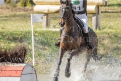 FRH Butt's Avondale Anna SIEMER