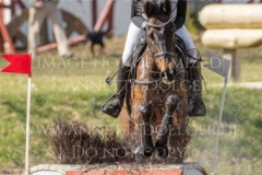 FRH Butt's Avondale Anna SIEMER