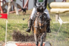 FRH Butt's Avondale Anna SIEMER