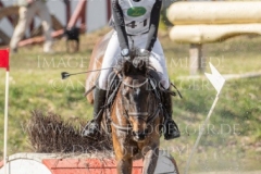 FRH Butt's Avondale Anna SIEMER