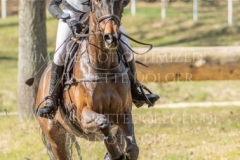 FRH Butt's Avondale Anna SIEMER