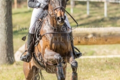 FRH Butt's Avondale Anna SIEMER