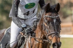 FRH Butt's Avondale Anna SIEMER